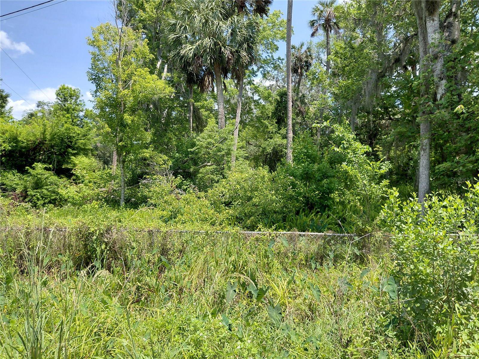 Astor, FL 32102,23938 BASS RD