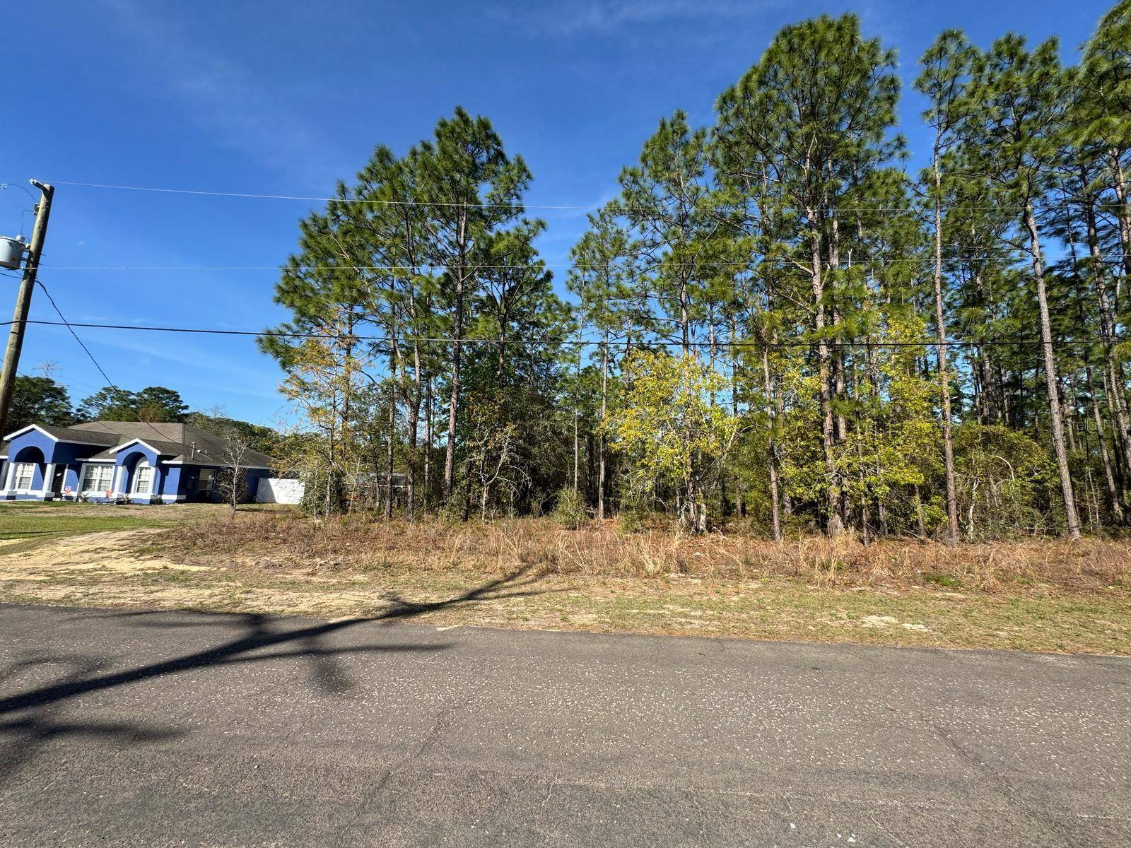 Citrus Springs, FL 34434,6994 N LOCKWOOD WAY