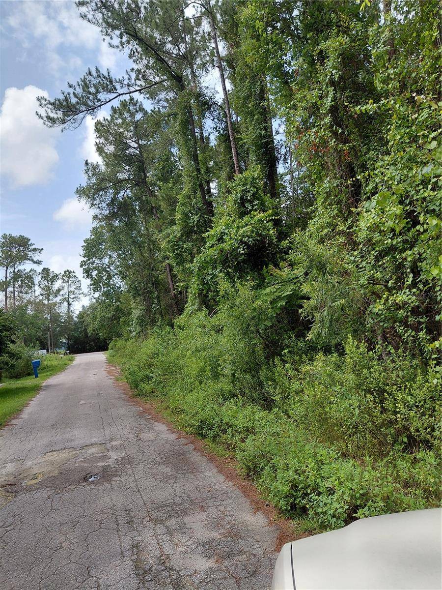 Astor, FL 32102,JAMES ST