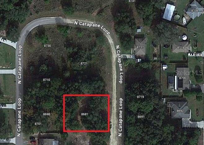 Crystal River, FL 34428,8681 N CATAPANE LOOP