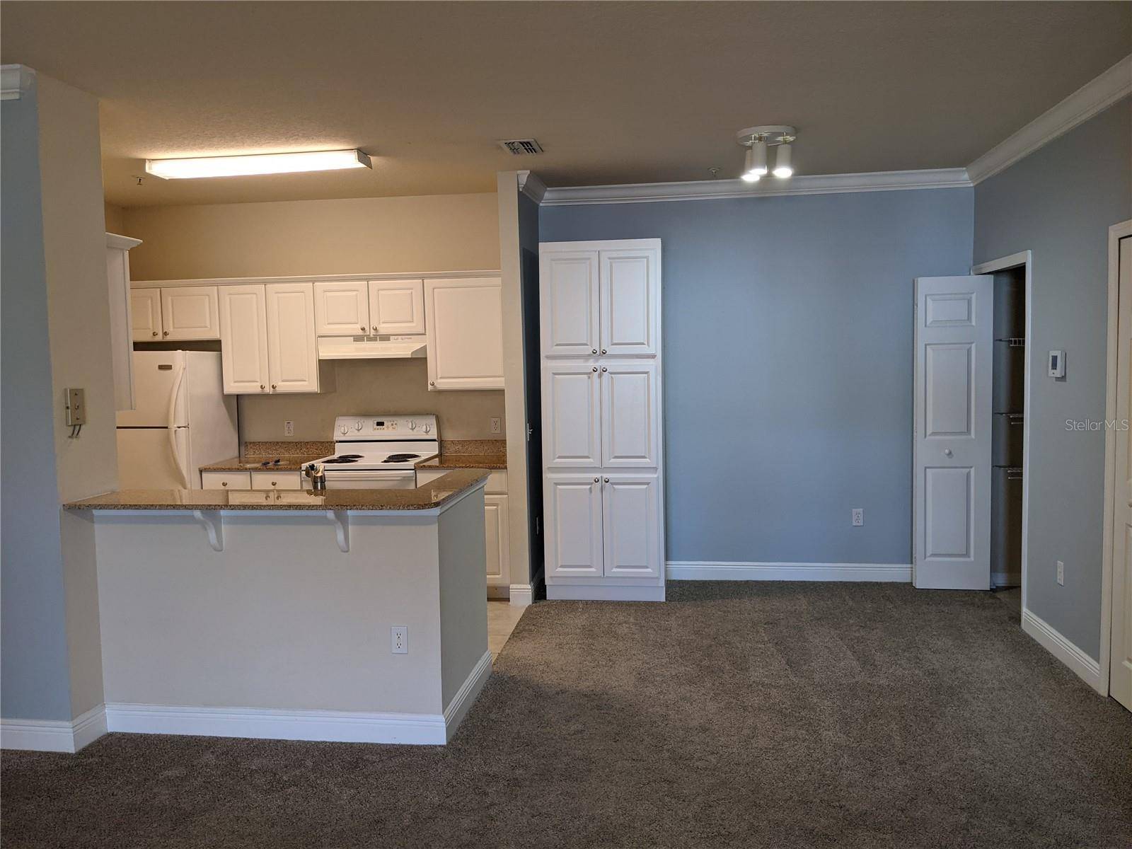 Winter Garden, FL 34787,304 SOUTHERN PECAN CIR #202