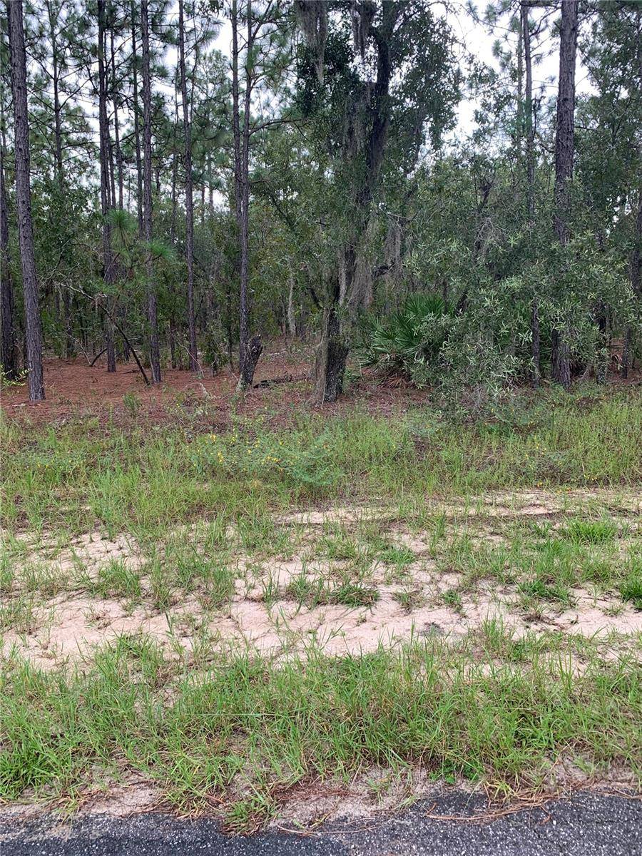 Citrus Springs, FL 34433,2796 W XENOX DR