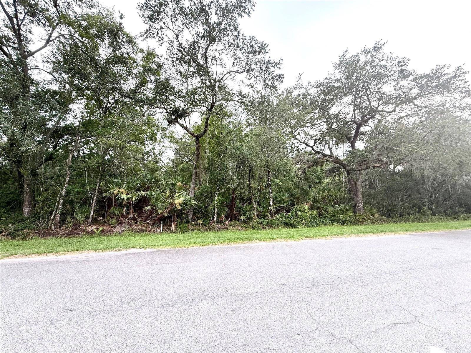 Orlando, FL 32833,SARMUNDHAM ST