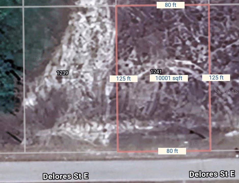 Lehigh Acres, FL 33974,1241 DELORES ST E
