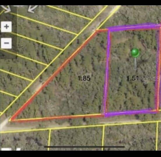 Webster, FL 33597,0 NE CREEKSTONE ST NE