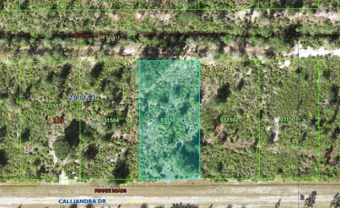 Indian Lake Estates, FL 33855,1106 CALLIANDRA DR