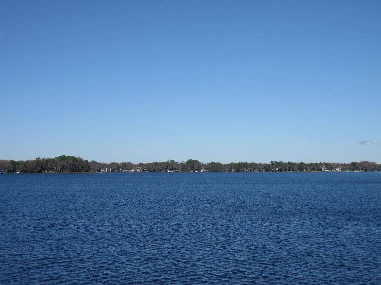 Odessa, FL 33556,18620 WAYNE RD