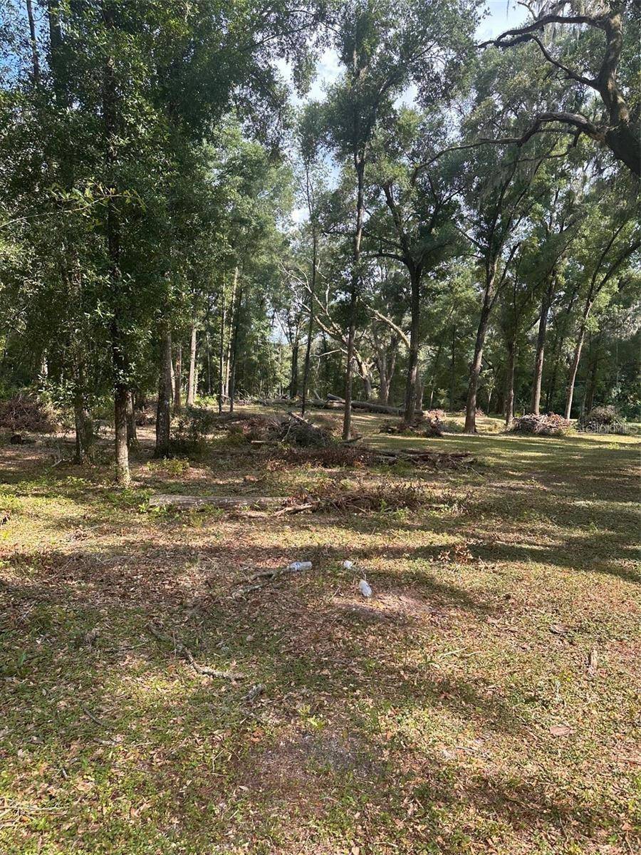 Dunnellon, FL 34432,TBD SW 111TH LN