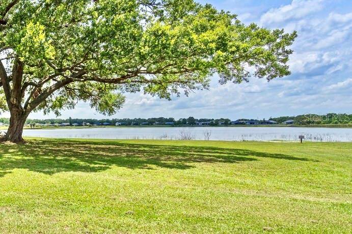 Clermont, FL 34711,16729 TALL GRASS LN