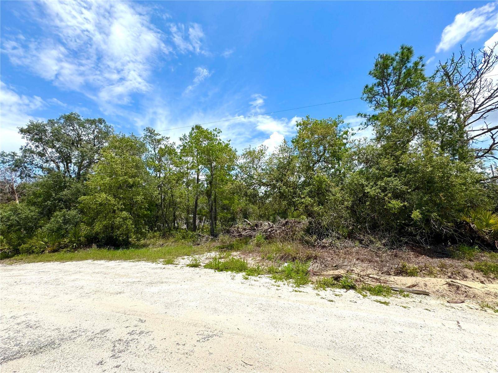 Lake Wales, FL 33898,0 DEER RUN DR