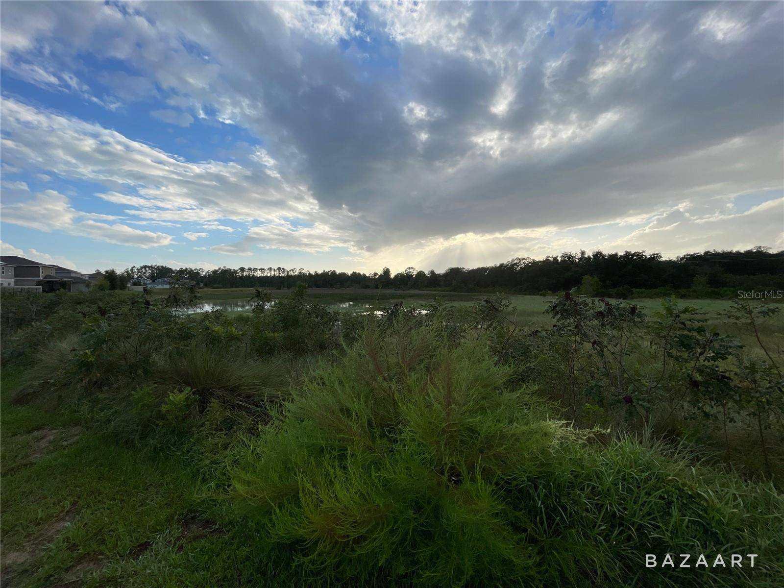 Davenport, FL 33837,1393 SAWGRASS HAMMOCK LN