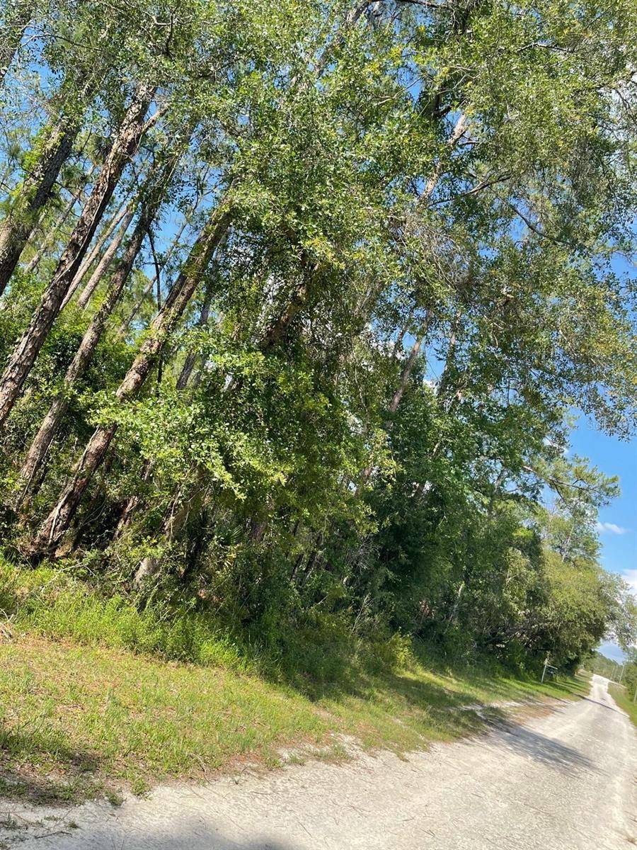 Webster, FL 33597,34389 CREEKSTONE ST