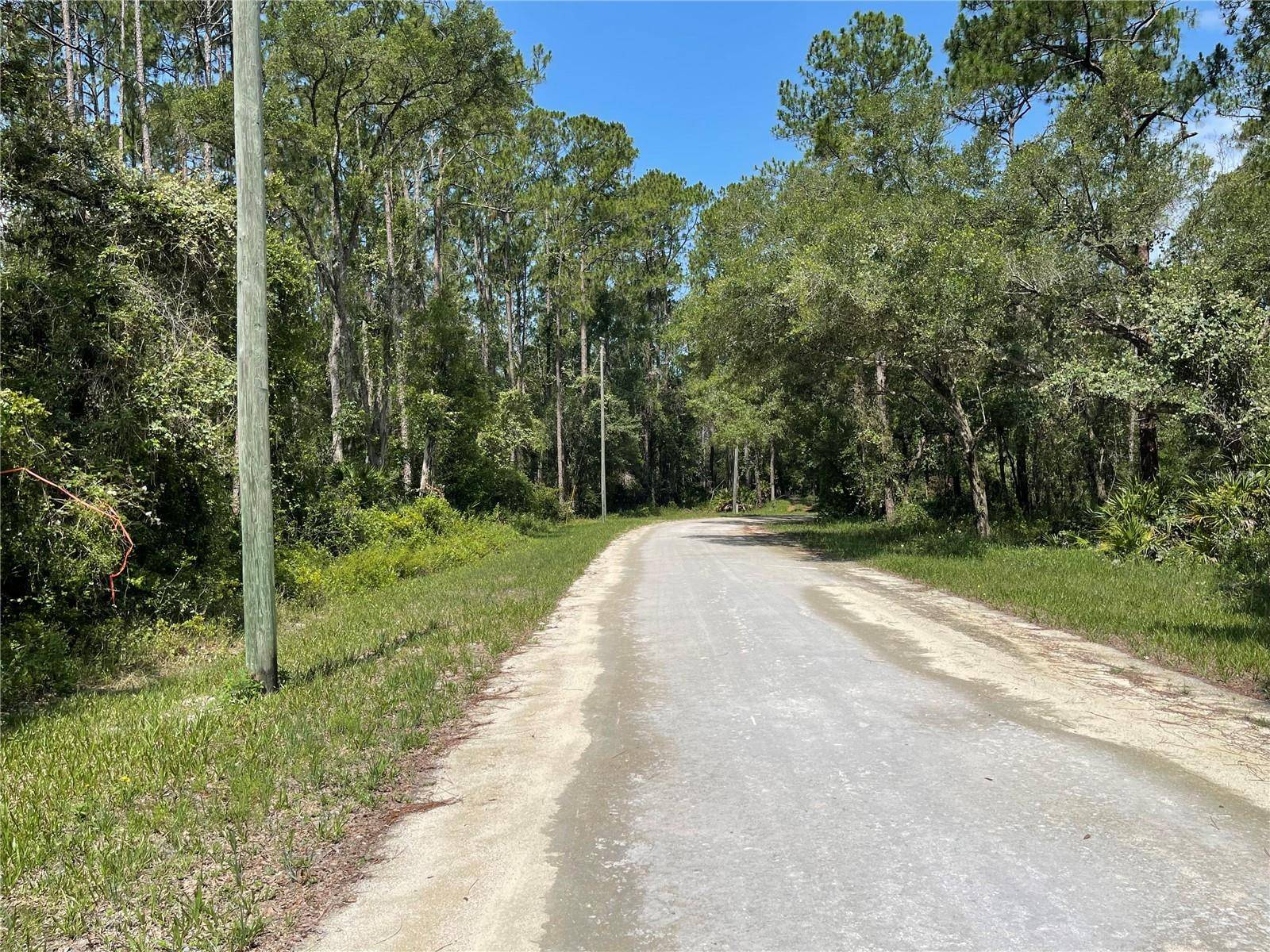 Webster, FL 33597,7255 ALLOY ST