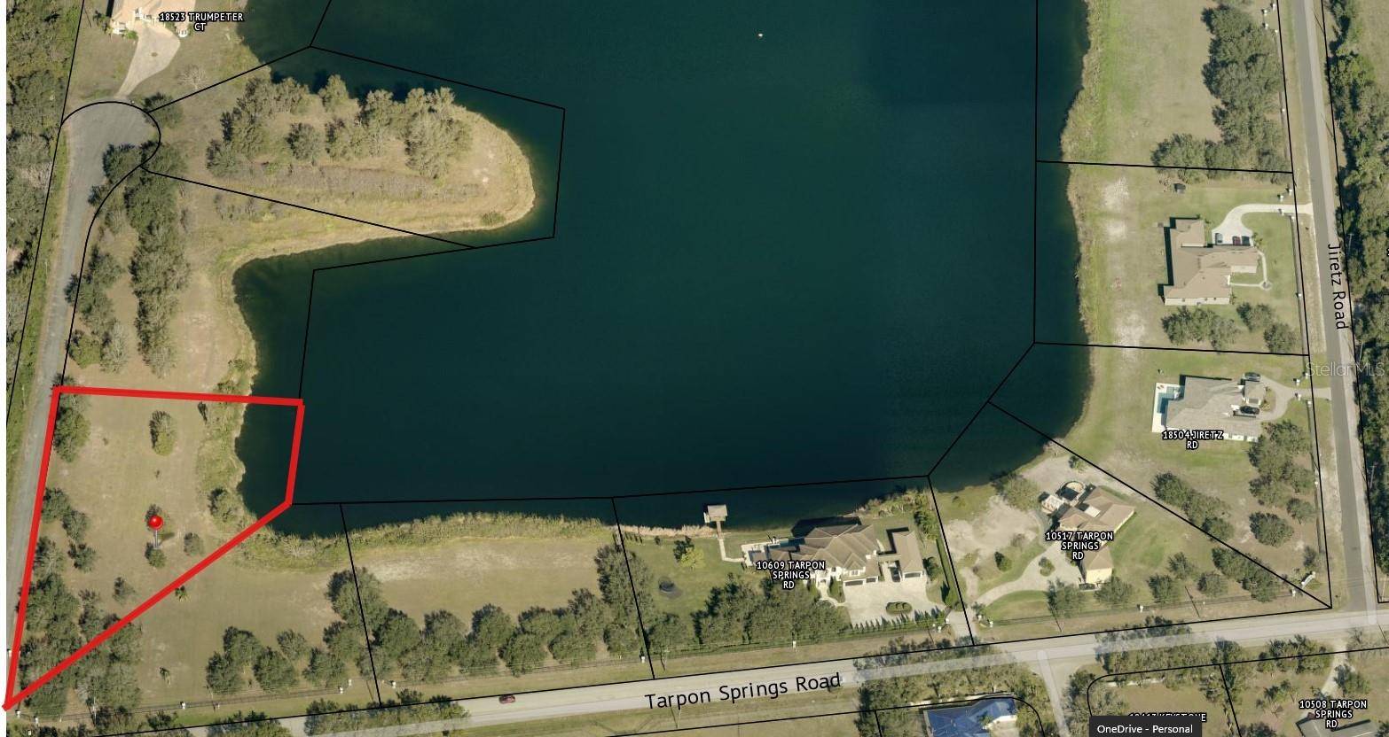 Odessa, FL 33556,00 TRUMPETER CT