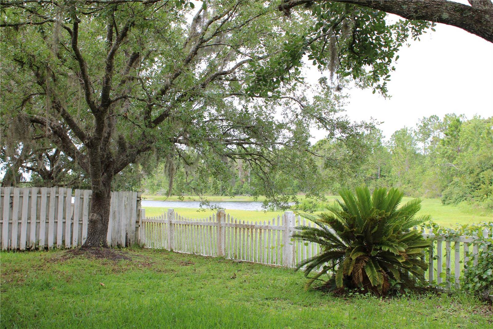 Orlando, FL 32820,1868 HAMMOCK MOSS DR