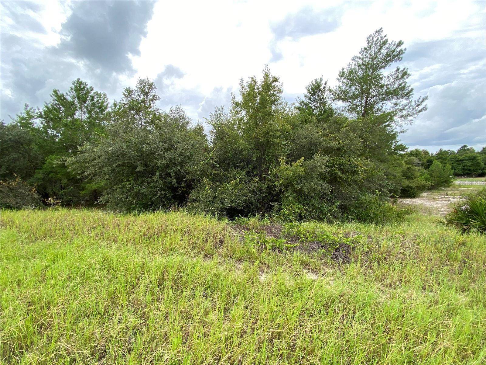 Kissimmee, FL 34759,1362 HOMOSASSA DR
