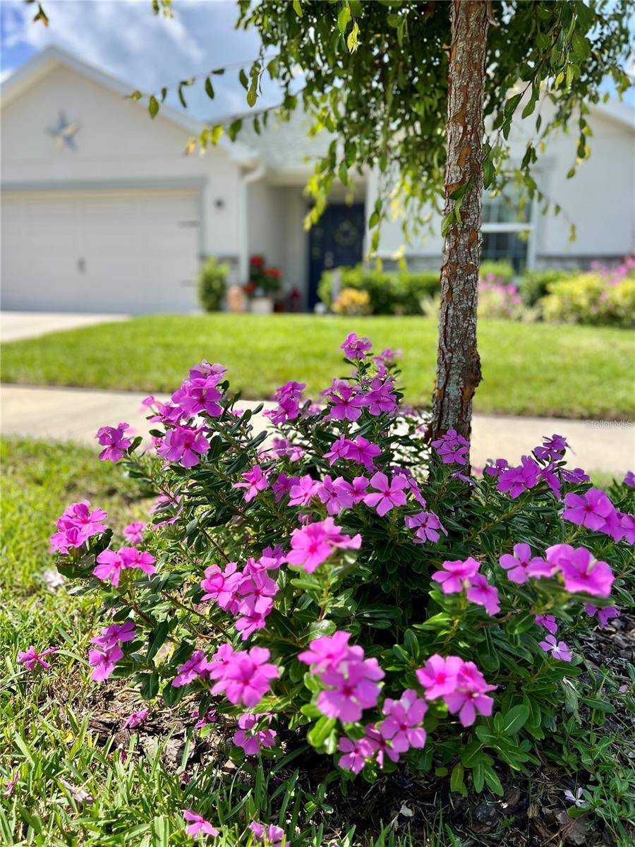 St Cloud, FL 34771,7 POLERMO AVE