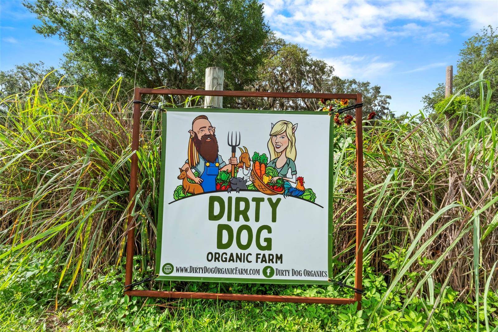 Leesburg, FL 34748,2016 LEWIS RD