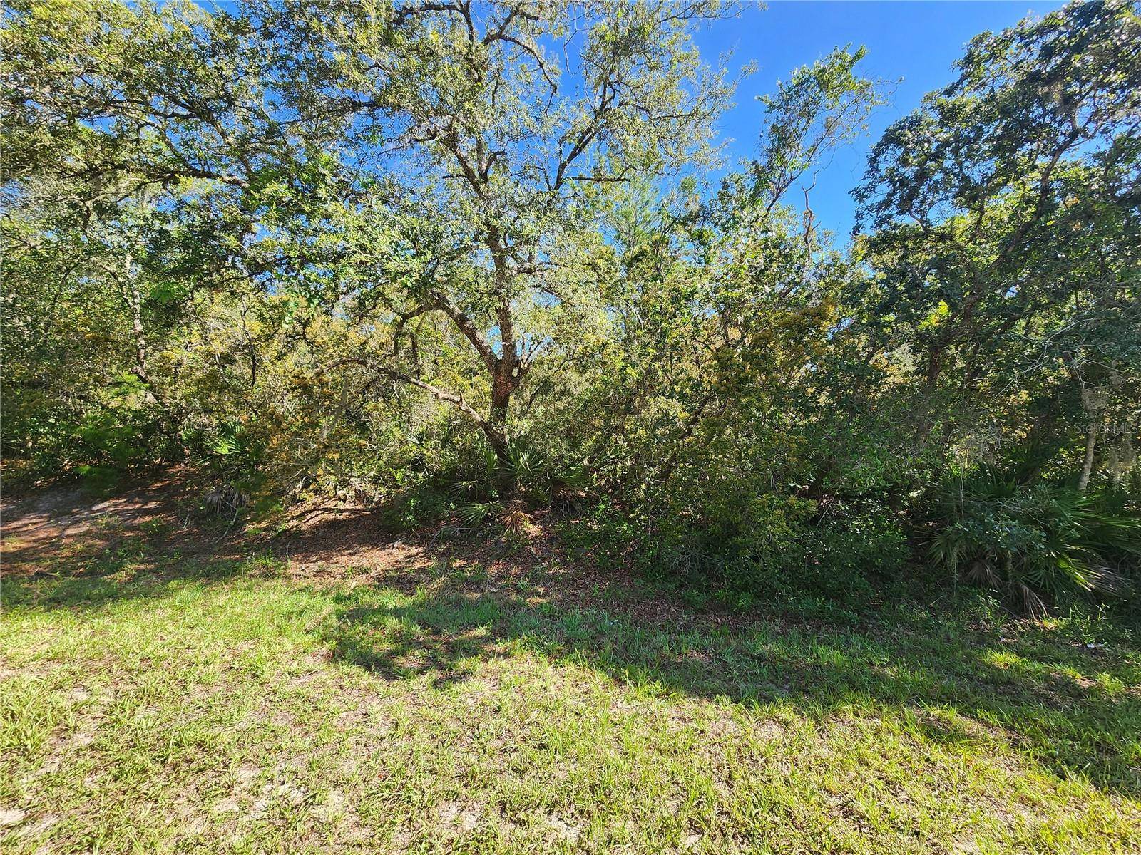 Eustis, FL 32736,Lot 9 E THYME AVE