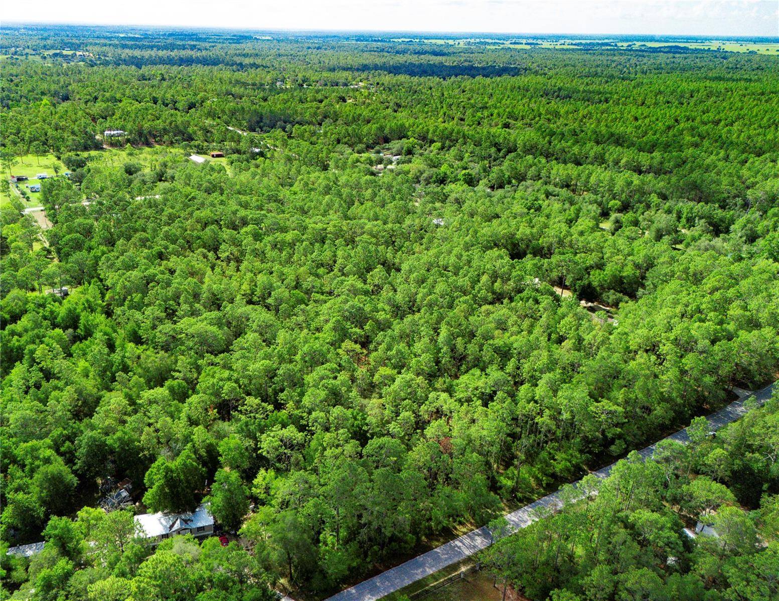 Dunnellon, FL 34432,0000 176TH AVE