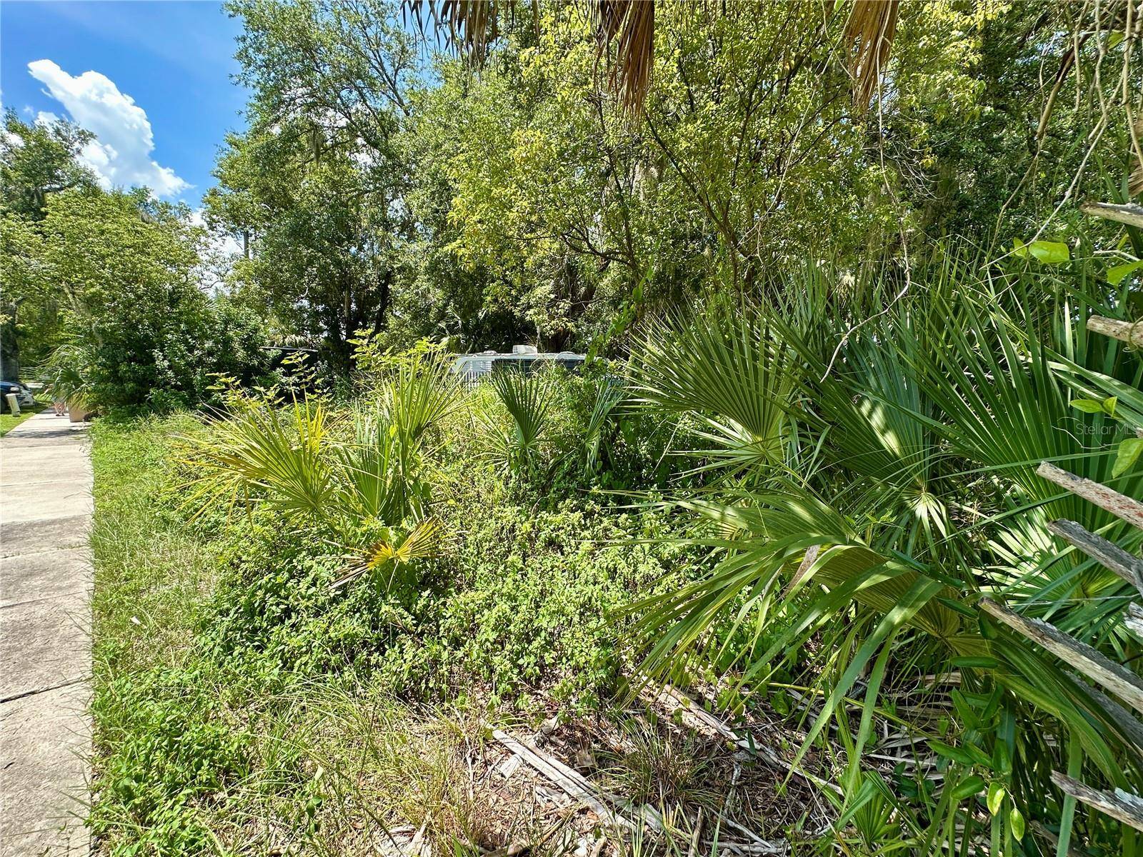 Intercession City, FL 33848,1546 IMMOCALEE ST