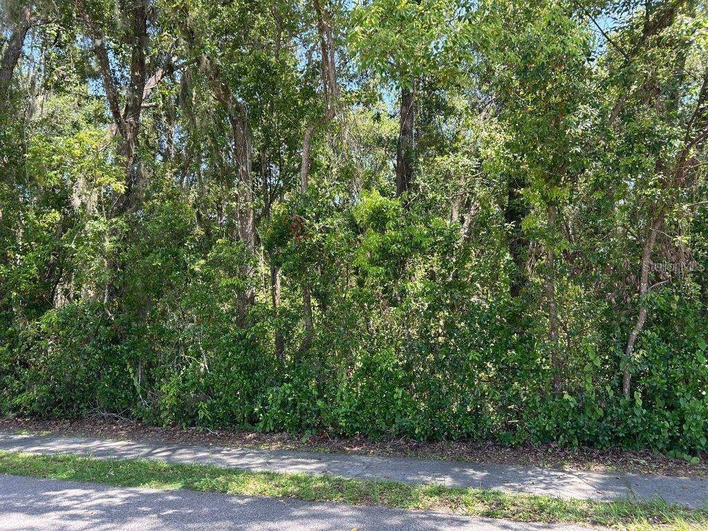Zellwood, FL 32798,KING AVE