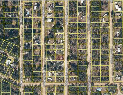 Interlachen, FL 32148,MALTAS AVE