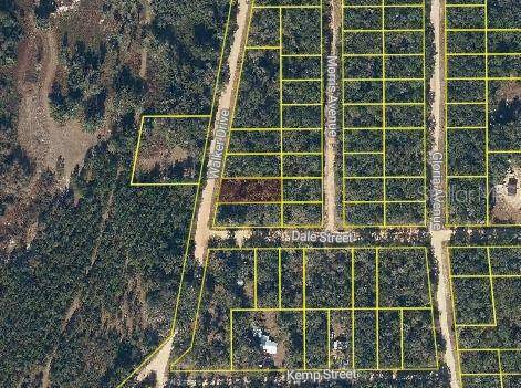 Interlachen, FL 32148,WALKER DR