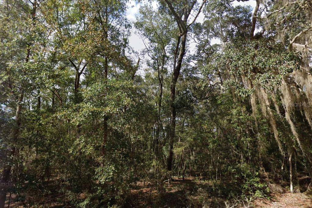 Interlachen, FL 32148,WALKER DR
