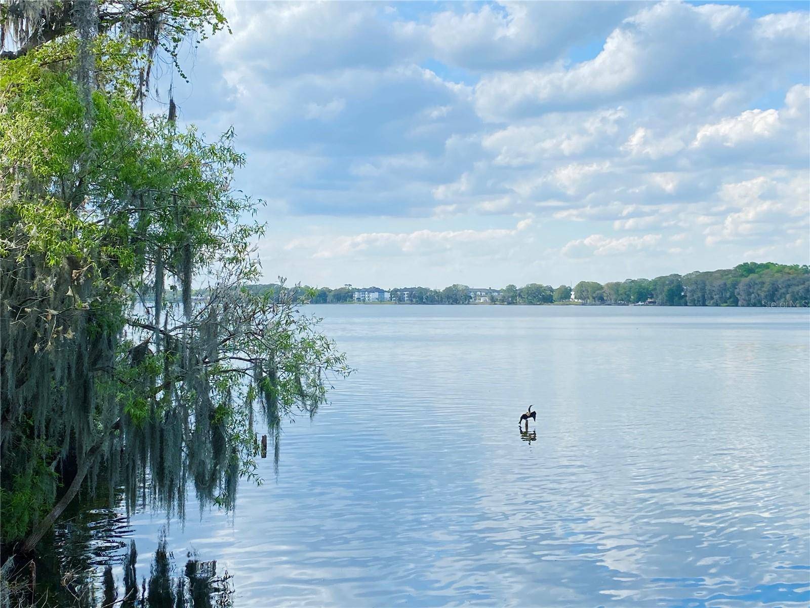 Winter Park, FL 32792,2307 KESTREL PERCH PL