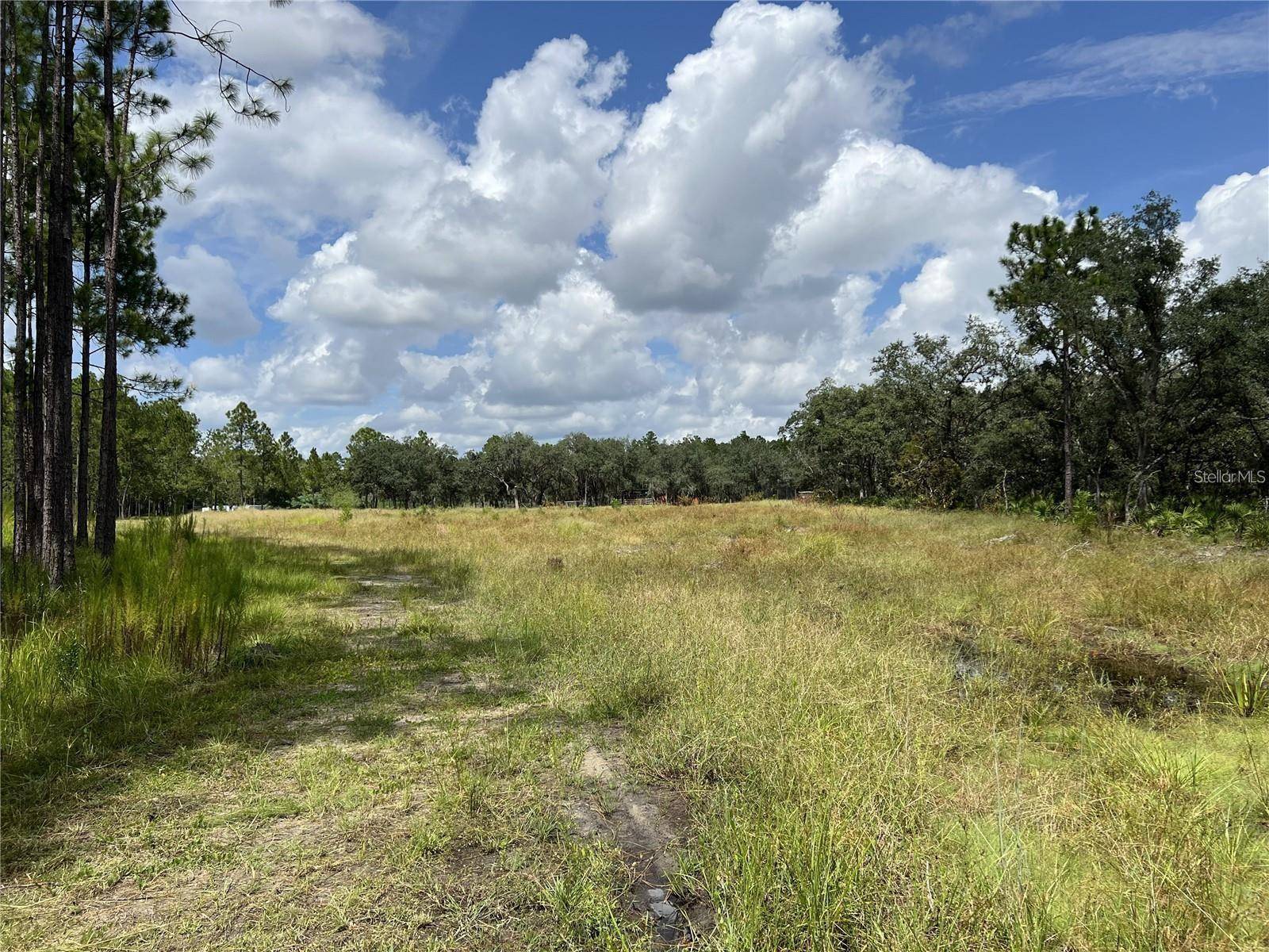 Davenport, FL 33897,134 HIDDEN PALMS PL