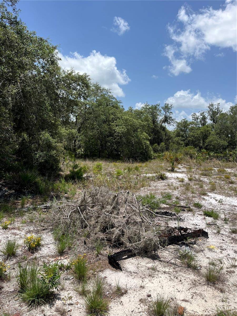 Lake Wales, FL 33859,4515 SARVER AVE
