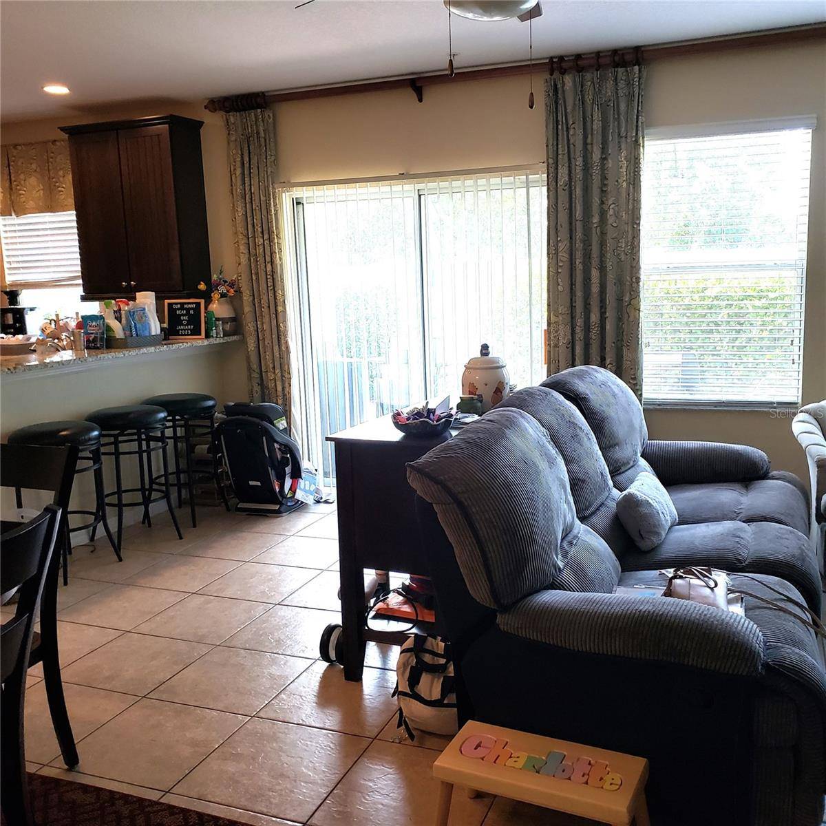 Ocoee, FL 34761,207 WHITE DOGWOOD LN