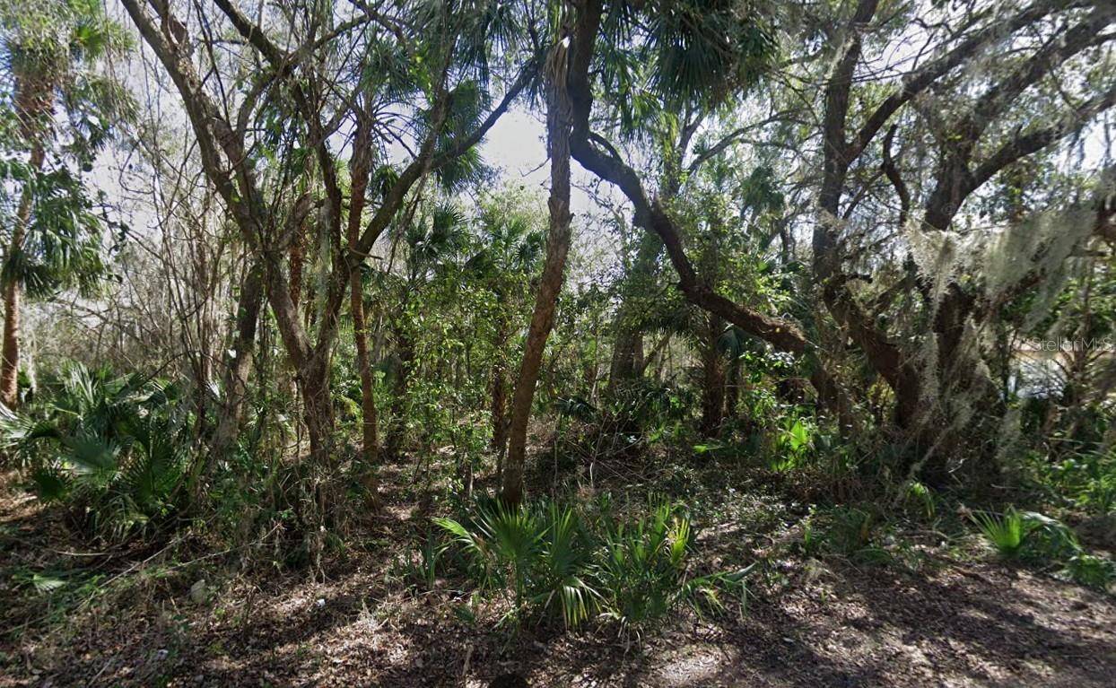 Oak Hill, FL 32759,NANCY ST
