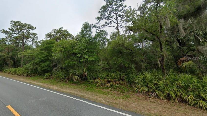 Crystal River, FL 34428,9850 W DUNNELLON RD #1