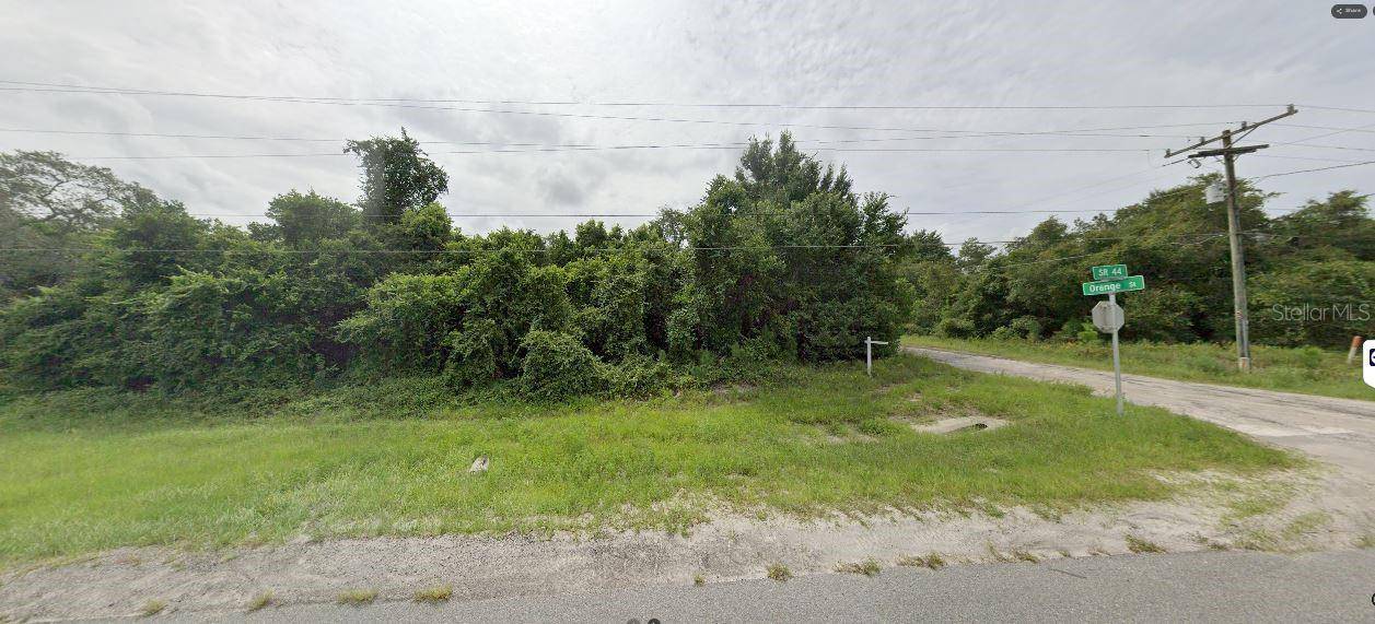 Eustis, FL 32726,E ORANGE AVE