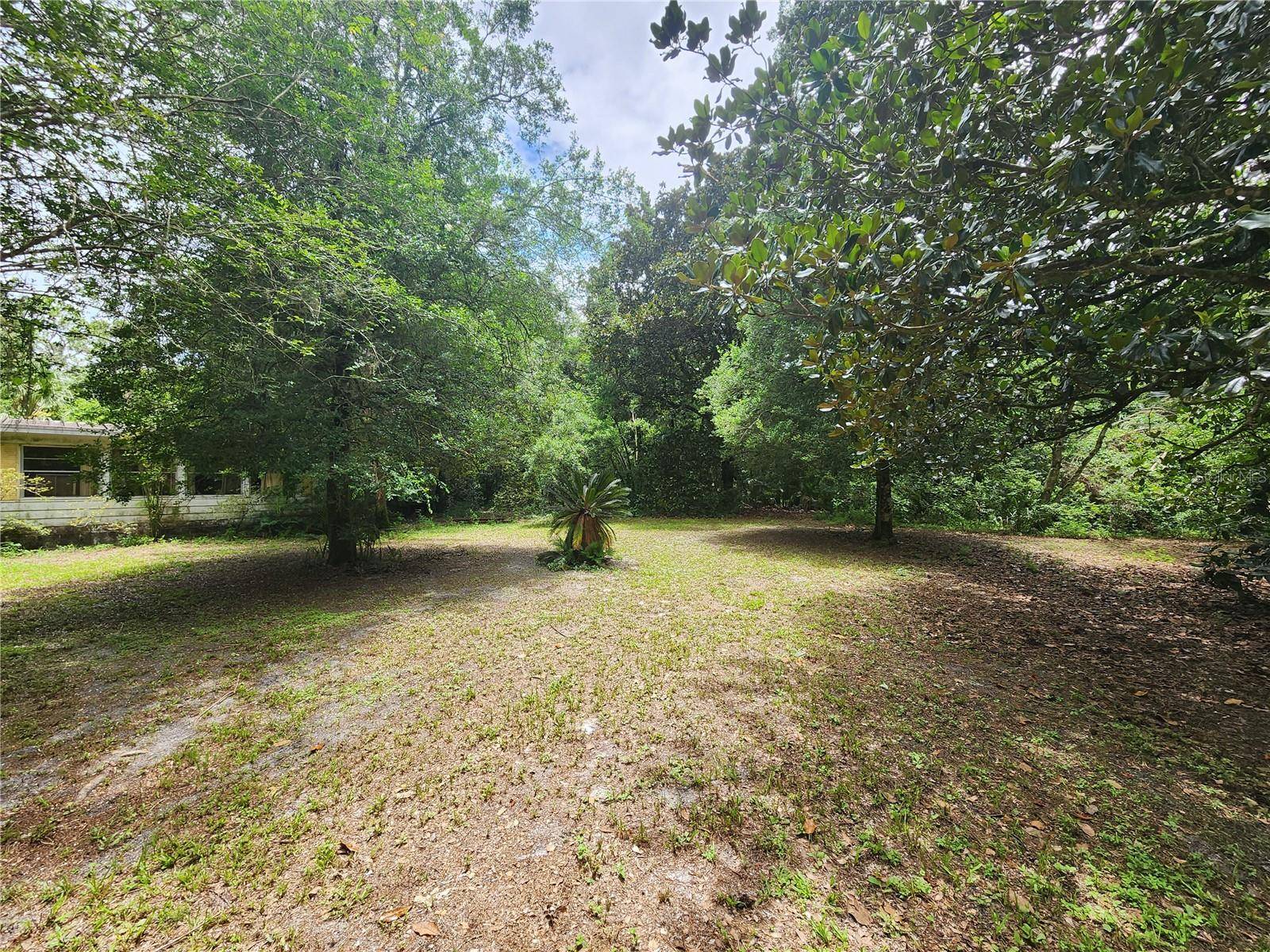 Sorrento, FL 32776,32124 HOLOPAW TRL
