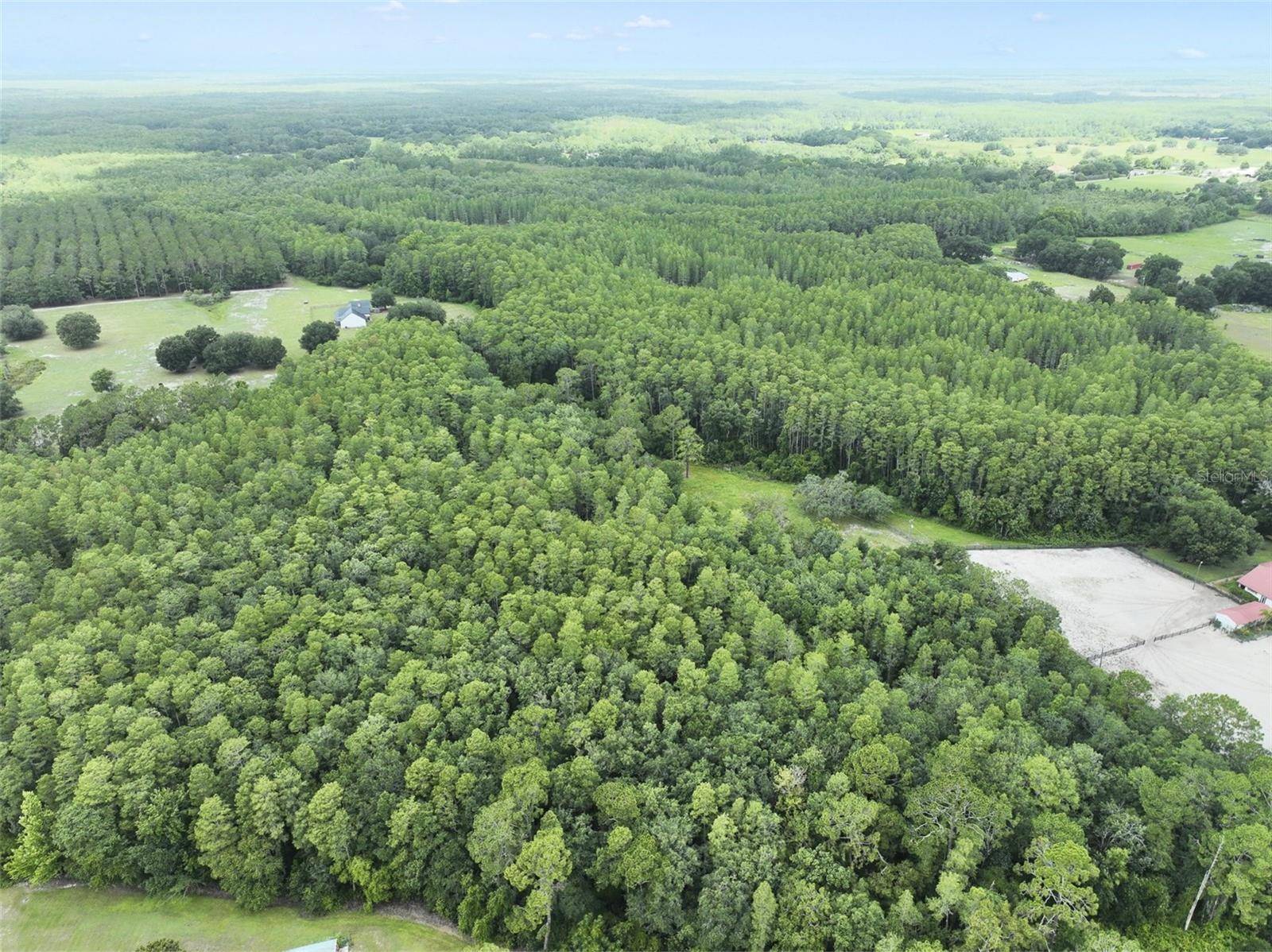 Groveland, FL 34736,8449 BAY LAKE RD