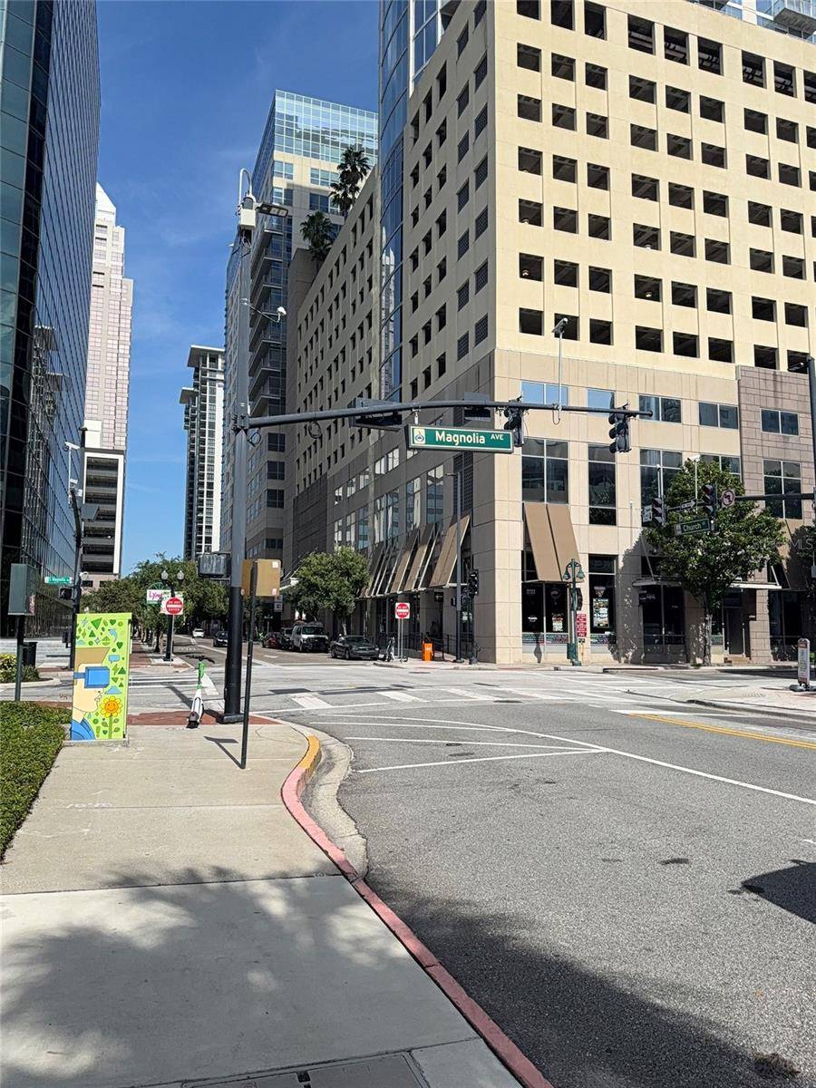 Orlando, FL 32801,155 S COURT AVE #1104
