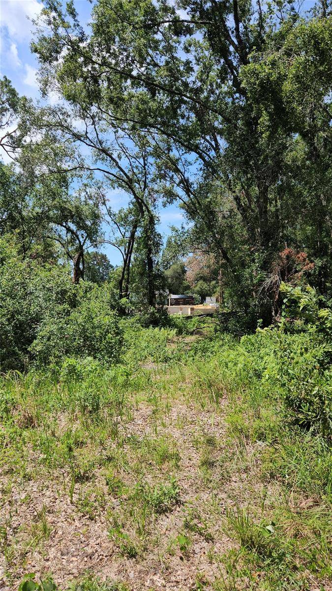Tampa, FL 33625,7624 ANNO ST