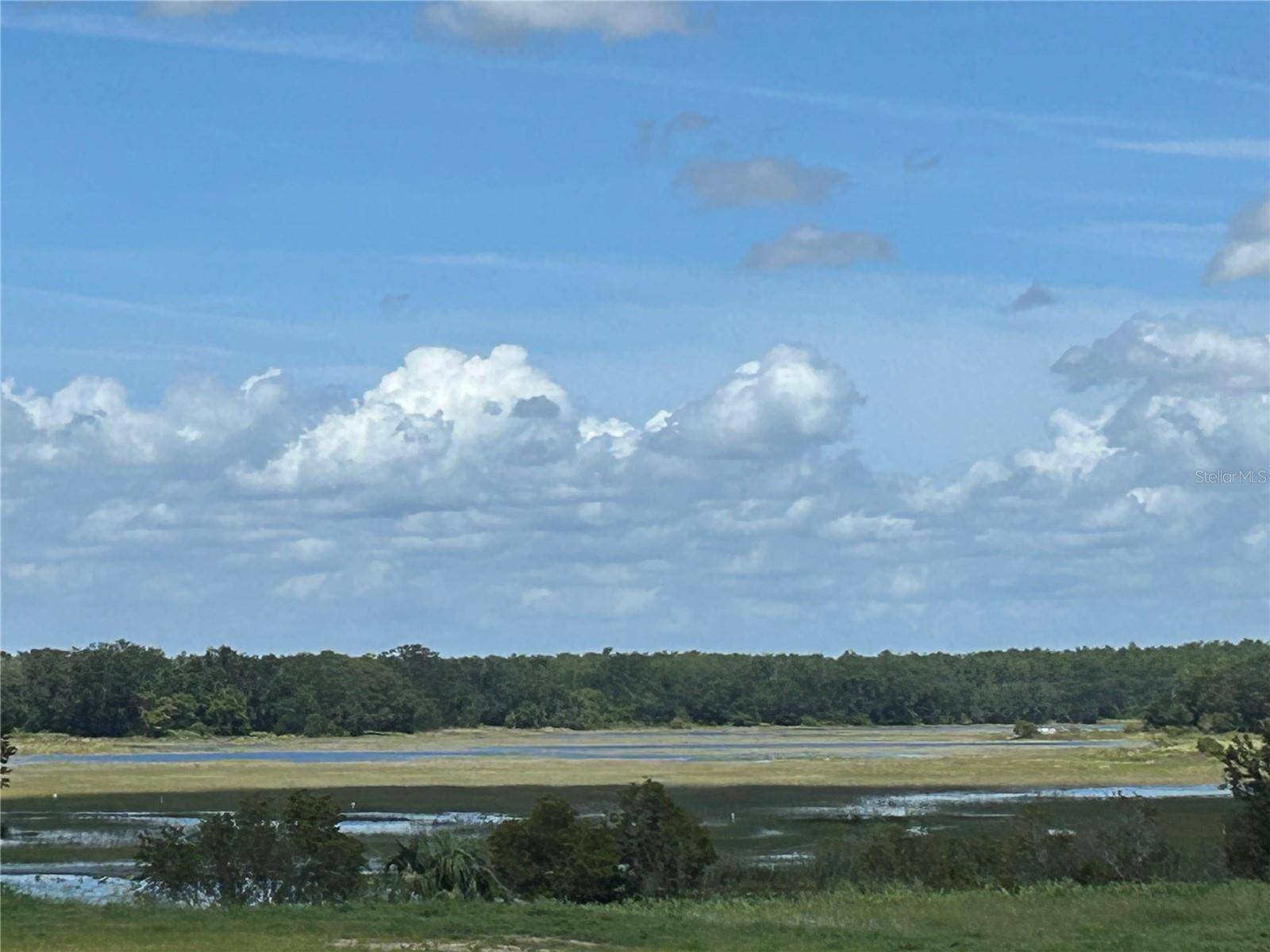 Howey In The Hills, FL 34737,24505 HODGES RESERVE AVE