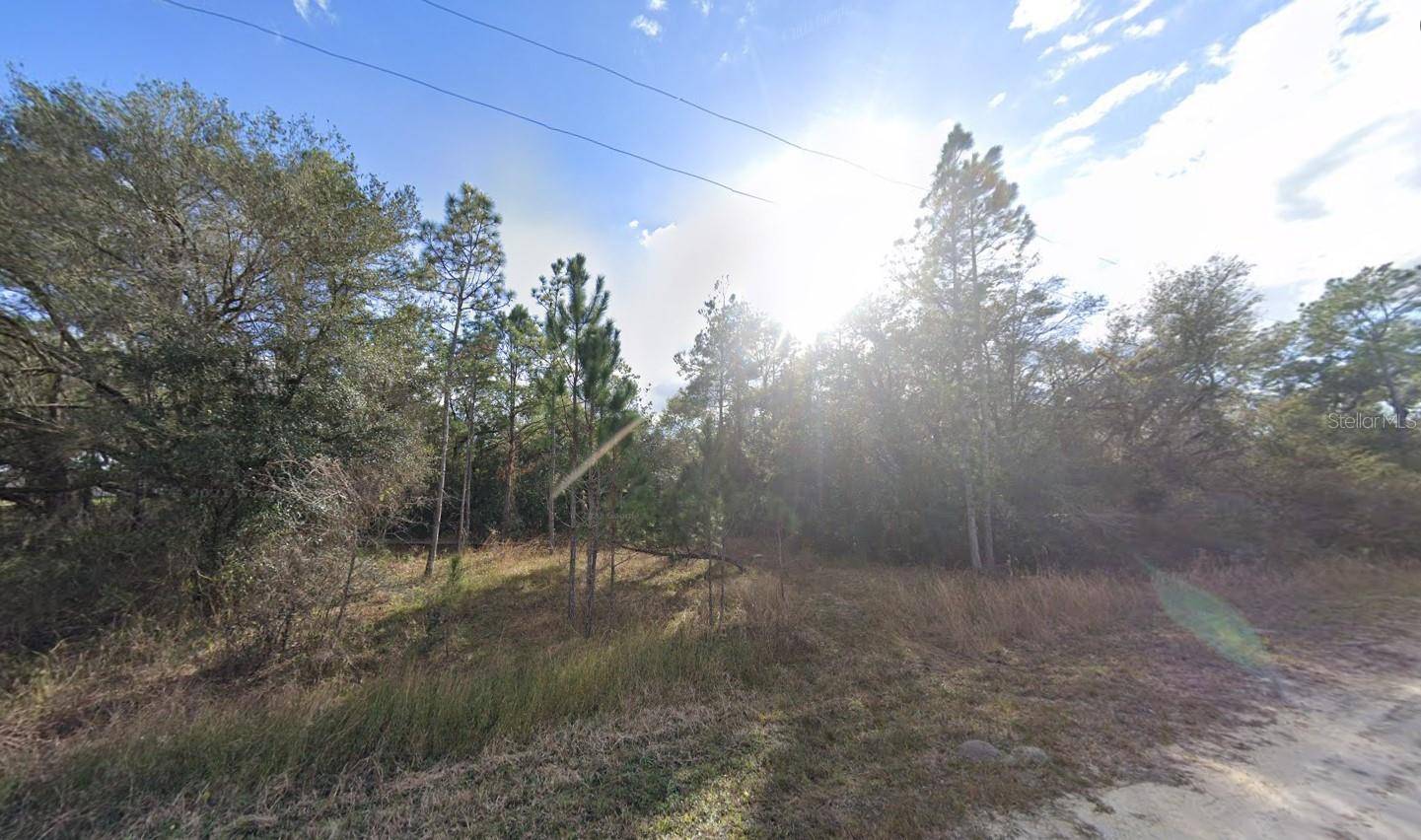 Webster, FL 33597,33472 WEST BLVD