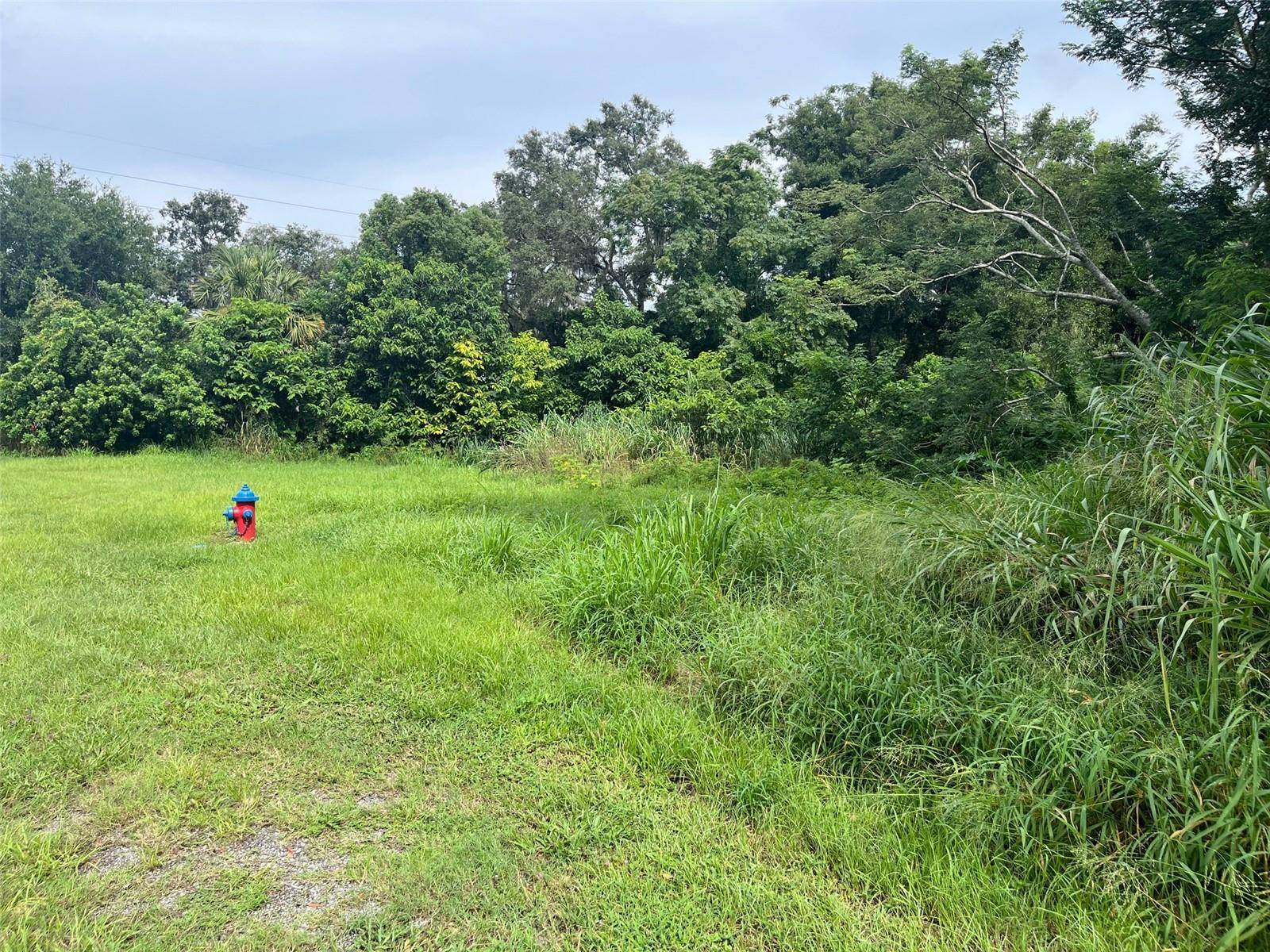 Apopka, FL 32703,E CLEVELAND ST E