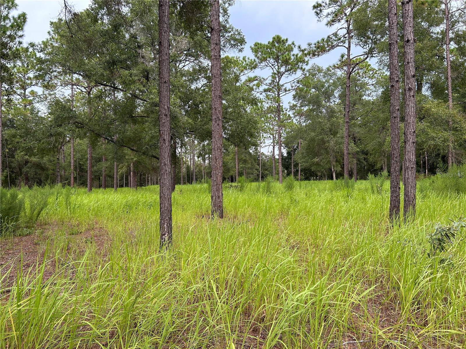 Ocala, FL 34481,16051 SW 44 ST