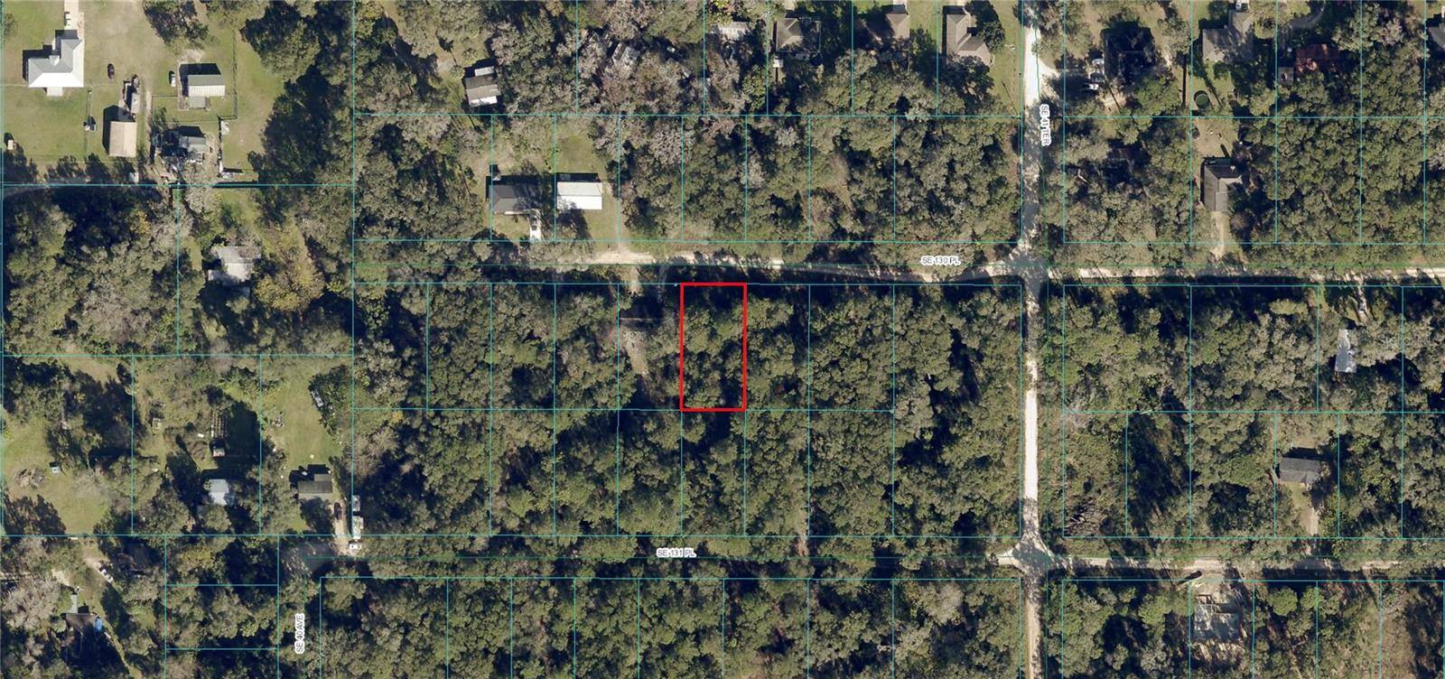 Belleview, FL 34420,SE 130TH PL