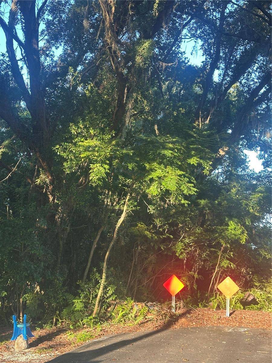 Lakeland, FL 33805,1924 MARGARET ST