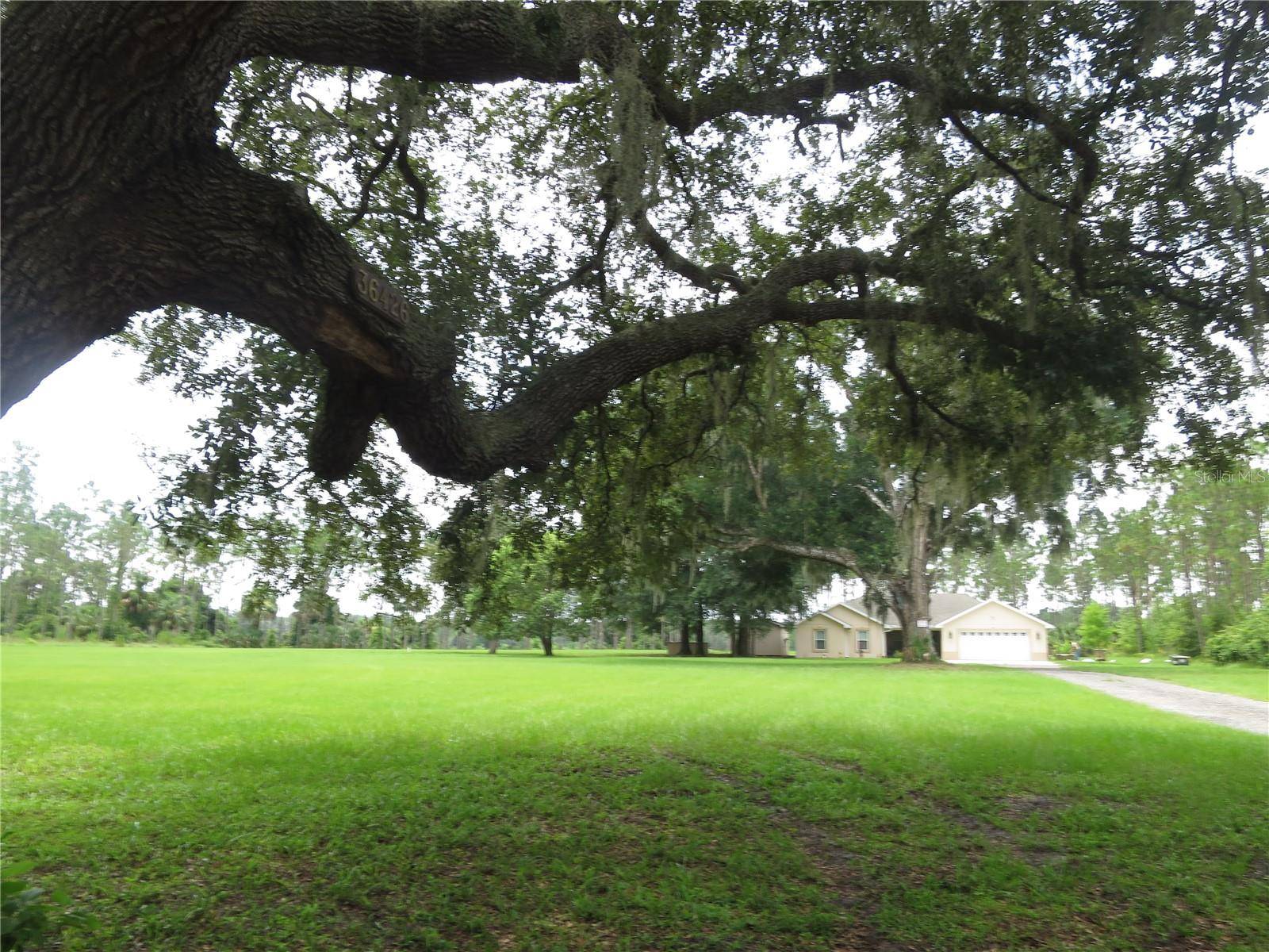 Eustis, FL 32736,36426 TANNER LN