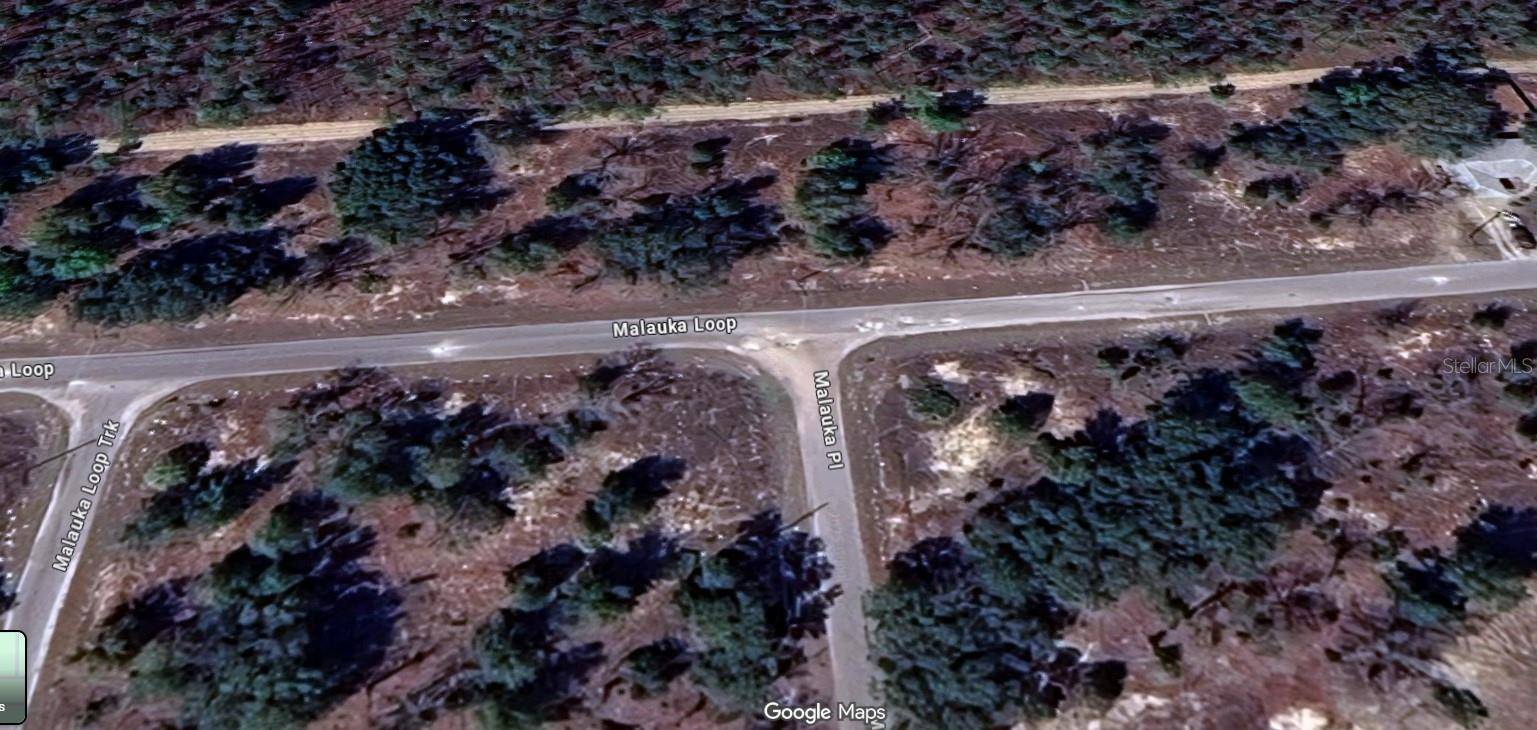 Ocklawaha, FL 32179,MALAUKA LOOP
