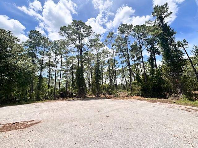 Eustis, FL 32736,CHINABERRY WAY