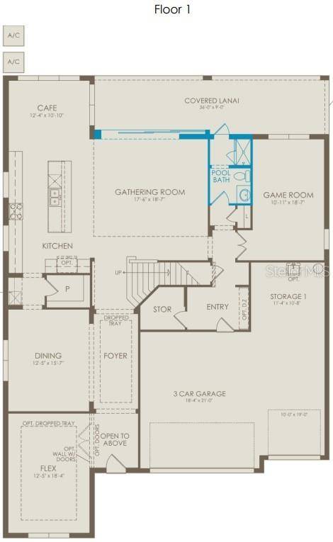 Clermont, FL 34714,4608 GOLDEN BIRCH AVE